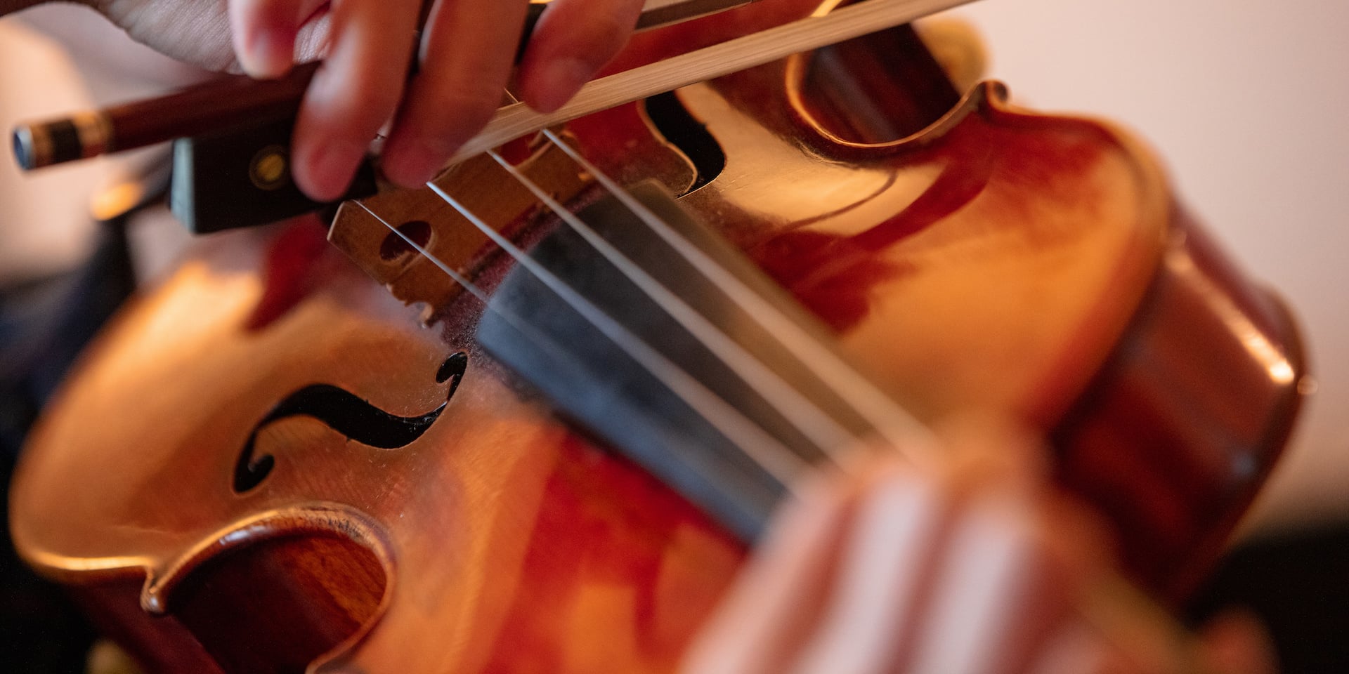 Violin